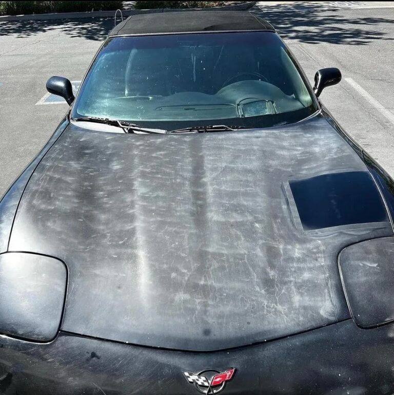 professional paint correction