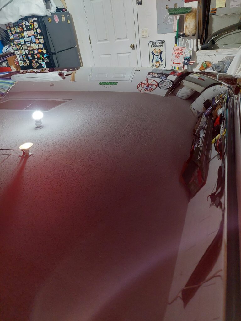 Ceramic Coating Orlando mustang hood after paint correction