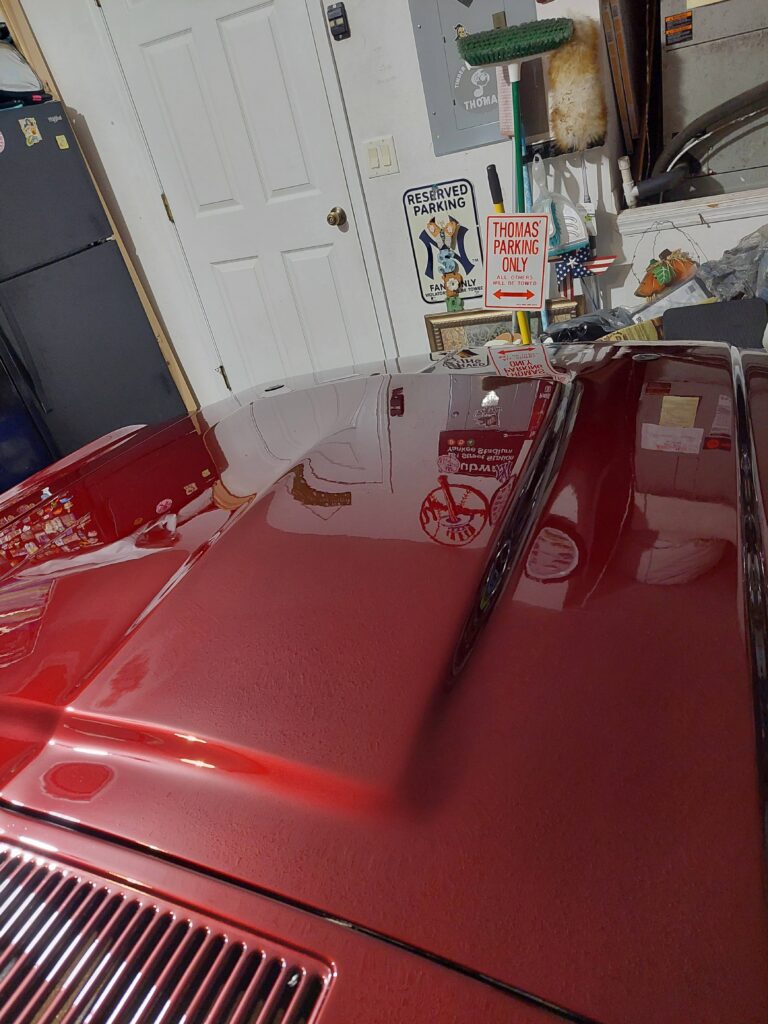 Ceramic Coating Orlando mustang hood after paint correction