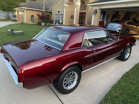 classic Ford mustang after paint correction and ceramic coating
